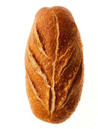 Sourdough Experiment